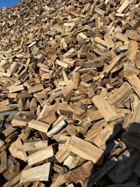 Brennholz Hartholz Eiche – Sommerangebot
